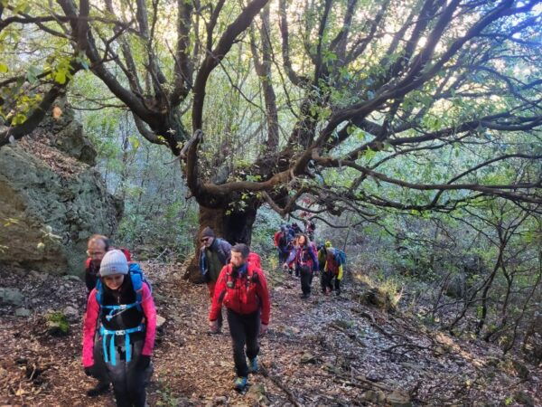 Bruncu Casteddu: Hiking Guided Tour Close Ulassai Village - The Sum Up