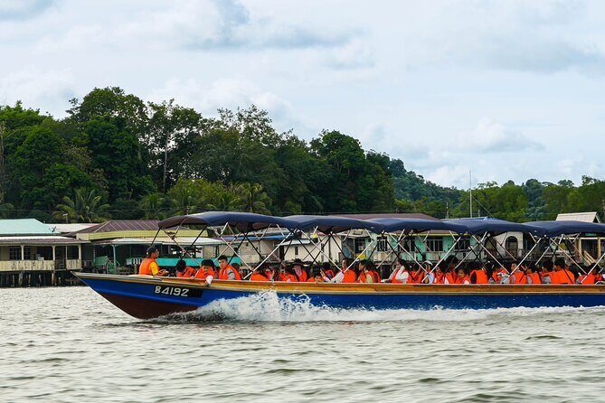 Brunei Mangrove River Safari - Detailed Review of the Brunei Mangrove River Safari