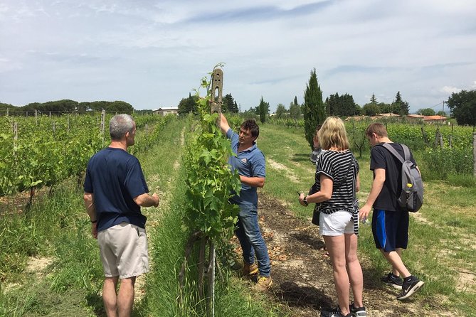 Brunello Di Montalcino, Small Biodynamic Wineries - Exploring Biodynamic Wine-Making Techniques