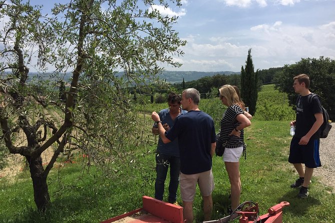 Brunello Di Montalcino, Small Biodynamic Wineries - Tasting the Unique Flavors of Small Biodynamic Wineries