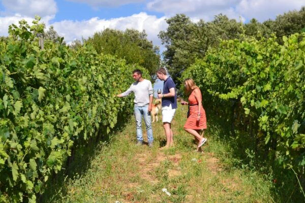 Brunello Montalcino Full-Day Wine Tour From Florence - Frequently Asked Questions