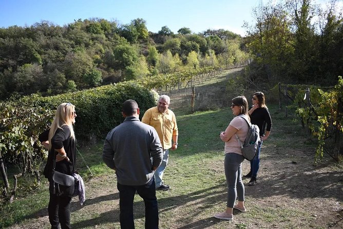 Brunello Vineyards Bus Tour - Wine Tastings