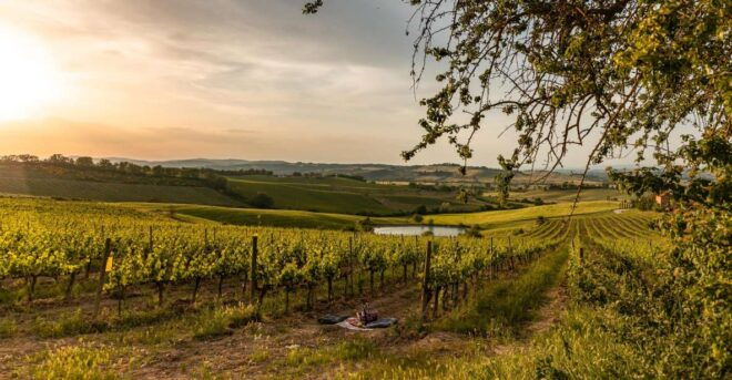 Brunello Wine Tasting With Tipical Tuscan Lunch - Inclusions and Exclusions