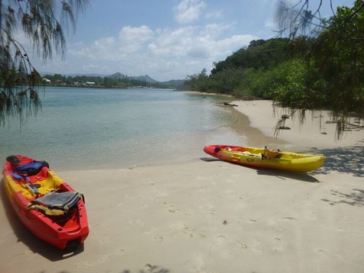 Brunswick Heads: Brunswick River Sunrise Nature Kayak Tour - Experience Highlights of the Kayak Tour