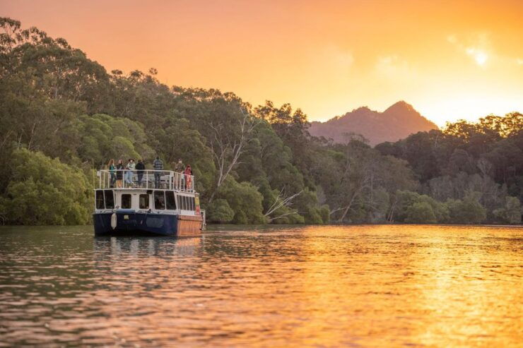 Brunswick River: Byron Sunset Eco Rainforest River Cruise - Experience Highlights