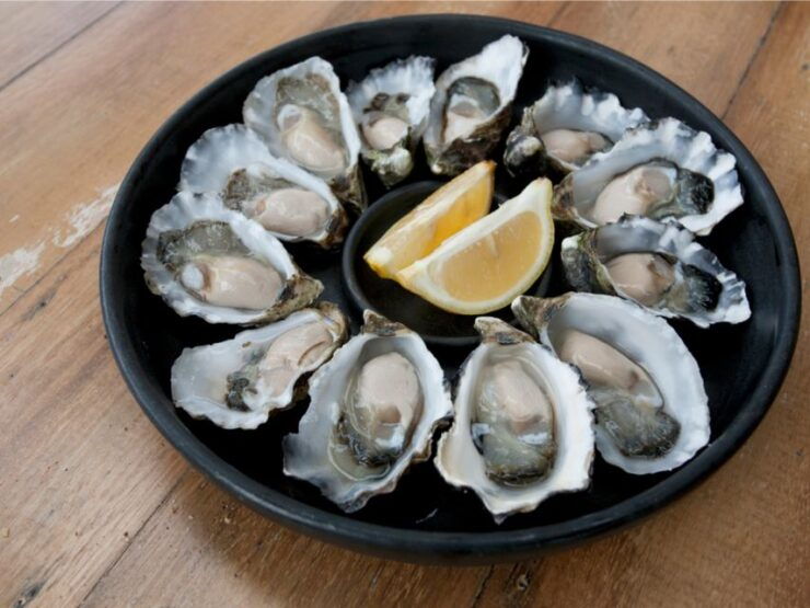 Bruny Island - Eat Drink and Explore - Food & Wine Tastings