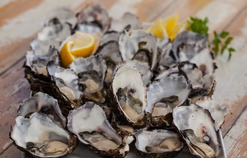 Bruny Island Gourmet Full Day Tour - Lunch with oysters and two drinks