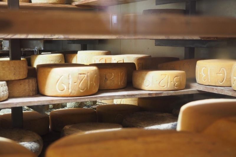 Bruny Island Gourmet Full Day Tour - Is the price fair for a full day out?