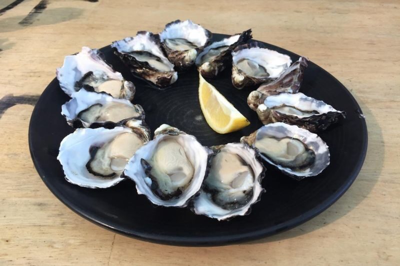Bruny Island Gourmet Full Day Tour - Who should book this Bruny Island tour?