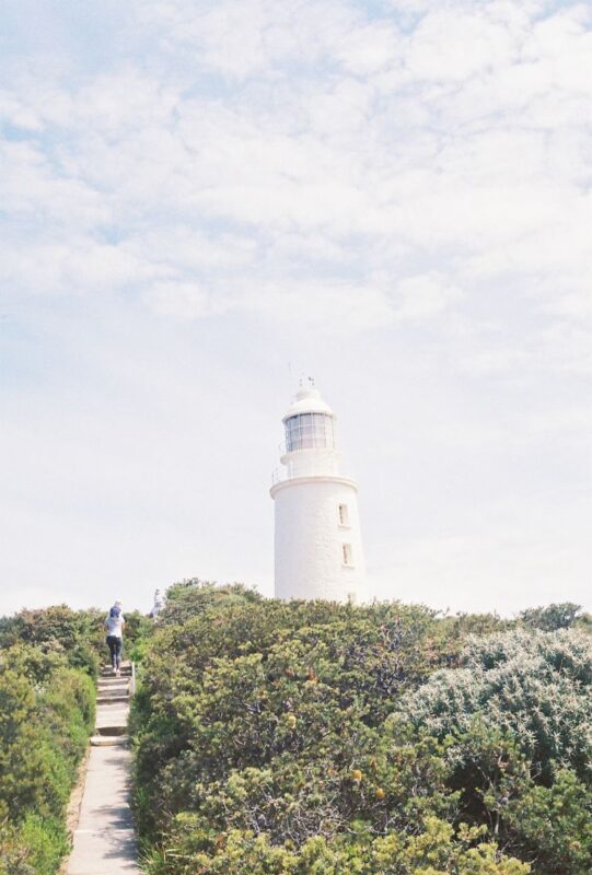 Bruny Island Guided Day Tour - Rainforest, waterfalls and island tracks