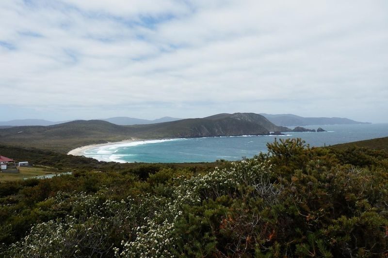 Bruny Island Guided Day Tour - White wallabies and other wildlife