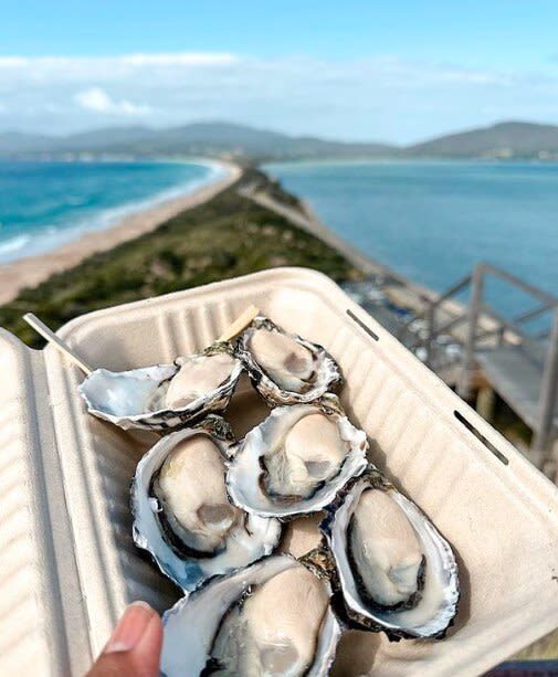 Bruny Island Guided Day Tour - Local food, oysters and shops