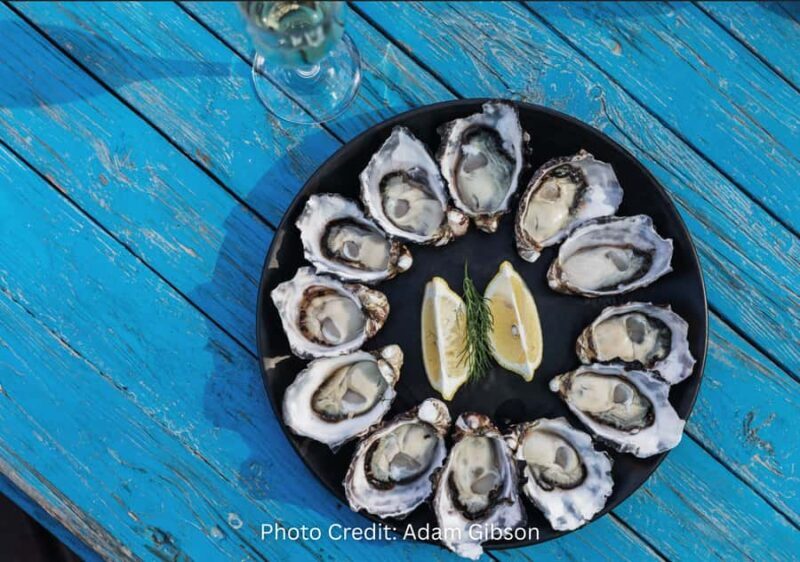 Bruny Island: Guided Sightseeing Tour (8hr Private Tour) - Practical Tips