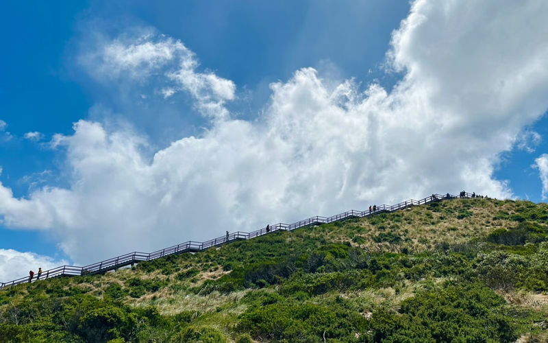 Bruny Island & Margate Train Full-Day Exploration Tour - Margate Train is more than a photo stop