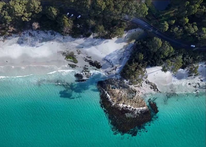 Bruny Island & Margate Train Full-Day Exploration Tour - Oysters, cheese, and honey bring Bruny’s local flavor