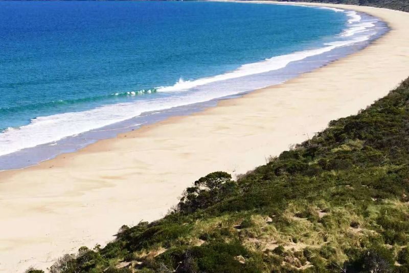 Bruny Island & Margate Train Full-Day Exploration Tour - Wildlife: a memorable possibility, not a guarantee