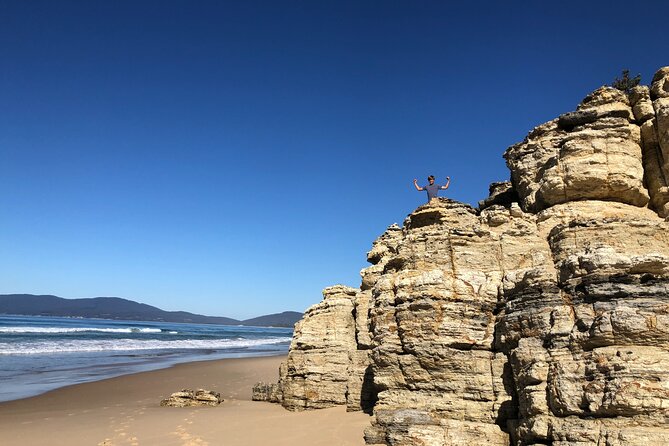 Bruny Island Nature and Tasting Active Day Tour - Pricing and Availability