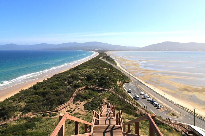 Bruny Island Small-Group Guided Tour From Hobart - Why We Love This Bruny Island Tour
