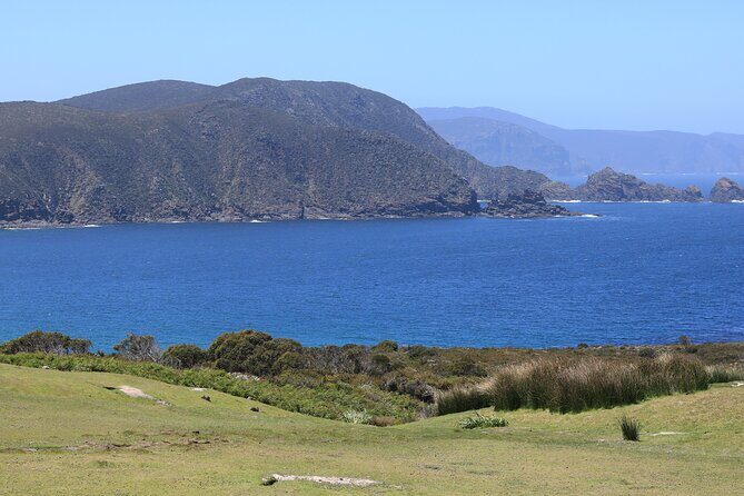 Bruny Island Small-Group Guided Tour From Hobart - Who Will Love This Tour?