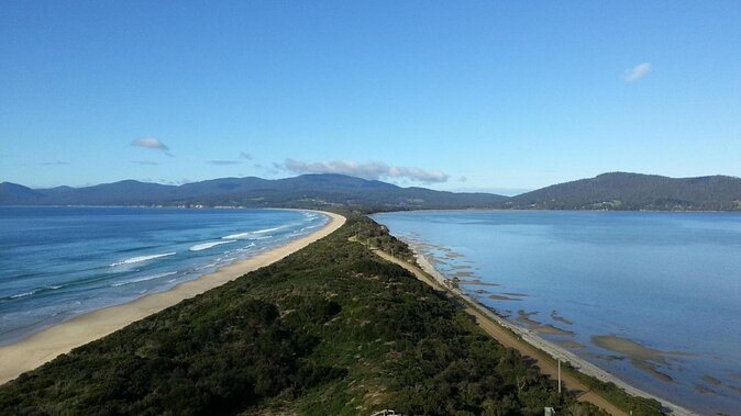 Bruny Island Traveller - Gourmet Tasting and Sightseeing Day Trip From Hobart - Whats Included