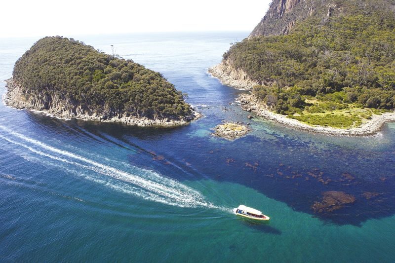 Bruny Island Wilderness Cruise Day Tour from Hobart or Kettering - What the full day feels like