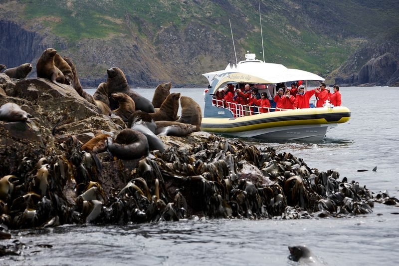 Bruny Island Wilderness Cruise Day Tour from Hobart or Kettering - Adventure Bay and the food break
