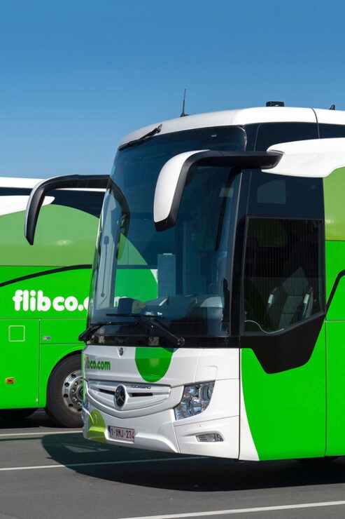 Brussels Airport: Bus Transfer From/To Breda Netherlands - Amenities and Comfort