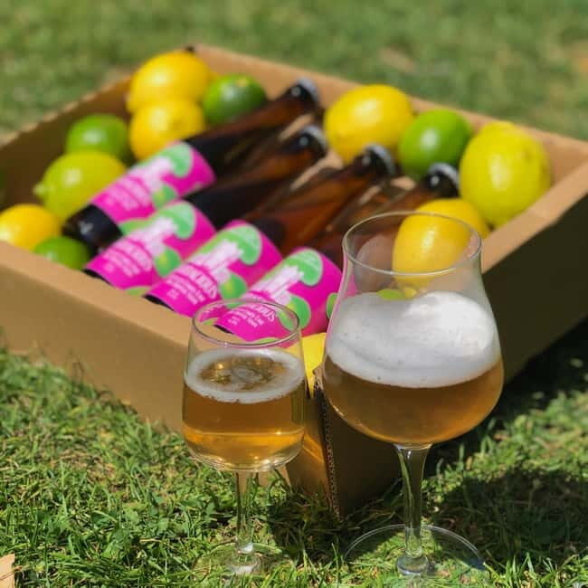 Brussels: beer tasting workshop in a micro brewery - In-Depth Breakdown of the Beer Tasting Workshop