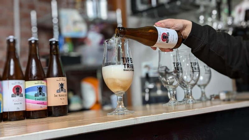 Brussels: beer tasting workshop in a micro brewery - Introduction