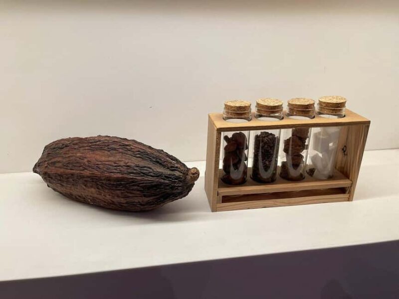 Brussels: Chocolate Appreciation and Tasting Walking Tour - A Closer Look at the Tour