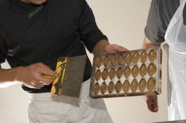 Brussels: Chocolate Workshop and Guided Walking Tour - The Sum Up