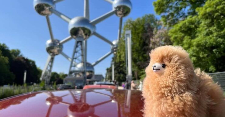 Brussels Day Trip From Paris or Amsterdam by Comfort Car - Key Points