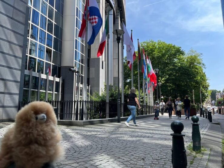 Brussels Day Trip From Paris or Amsterdam by Luxury Car - Key Points