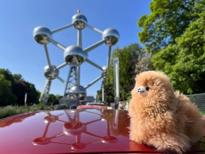 Brussels Day Trip From Paris or Amsterdam by Luxury Car - Tour Highlights