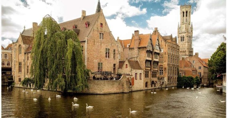 Brussels: Discovery Tour of Bruges - Activity Details