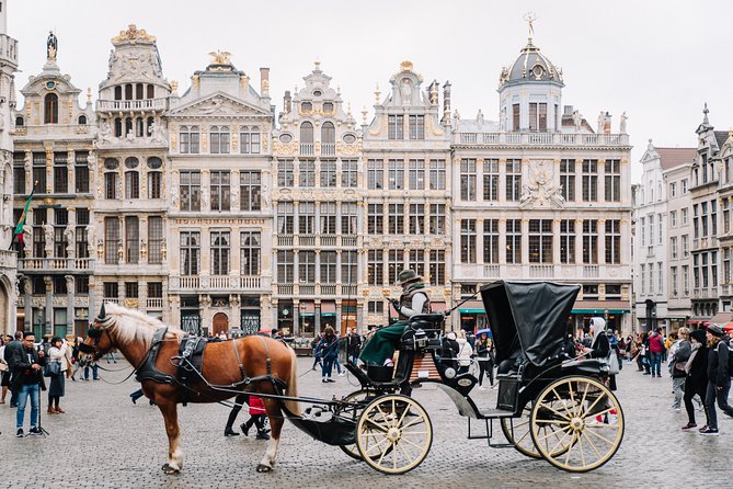 Brussels Half Day Tour With a Local Guide, Private & Custom - Tour Highlights