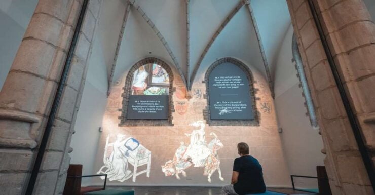 Brussels: KBR Museum - Library of the Dukes of Burgundy - Experience