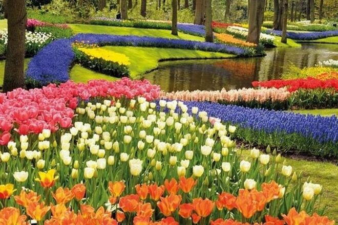 Brussels: Keukenhof, Tulips, and Delft Day Trip - Full Description