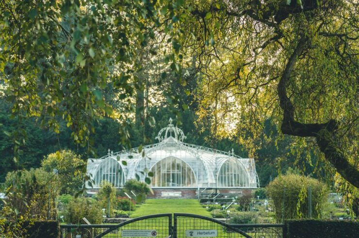 Brussels: Meise Botanic Garden Entry Ticket - Ticket Details