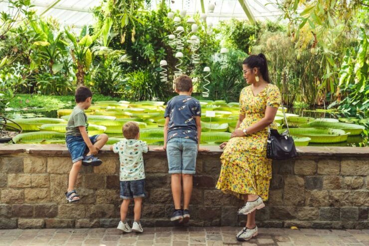 Brussels: Meise Botanic Garden Entry Ticket - Experience Highlights