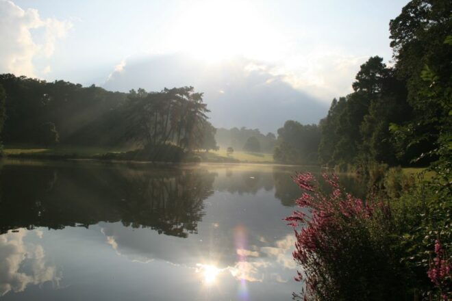 Brussels: Meise Botanic Garden Entry Ticket - Inclusions and Practical Information