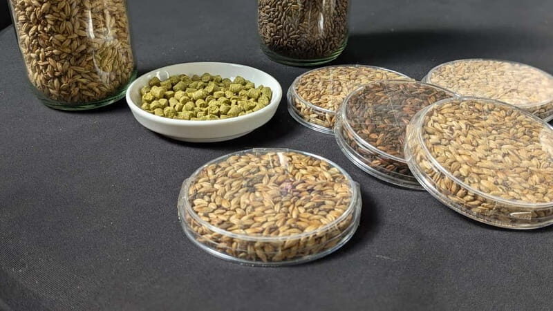 Brussels: micro brewery & distillery tour + beer tasting - Good To Know