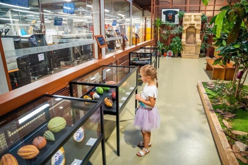 Brussels: Private Family Tour. Highlights, Tasting & Museum - Good To Know