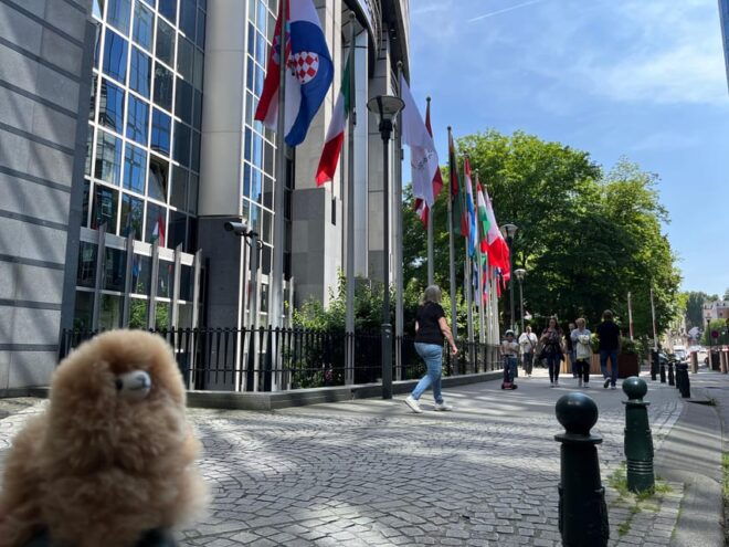 Brussels Private Guided Day Tour From Paris With Tastings - Accessibility Options