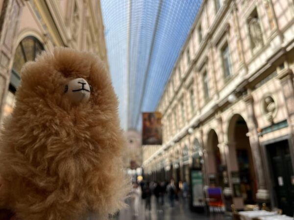 Brussels Private Guided Day Tour From Paris With Tastings - Frequently Asked Questions