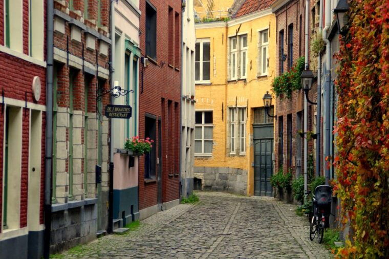 Brussels: Private Stress Free Day Tour to Ghent with a Local - Final Thoughts