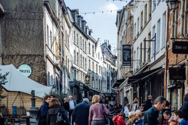 Brussels: Private Tour of the European Quarter - Accessibility and Logistics