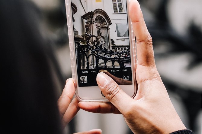 Brussels Private Walking Tour - Price and Terms