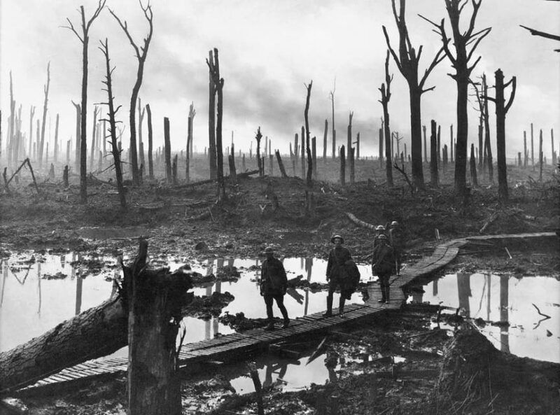 Brussels: Private World War I Battlefield Tour - Practical Aspects and What to Expect