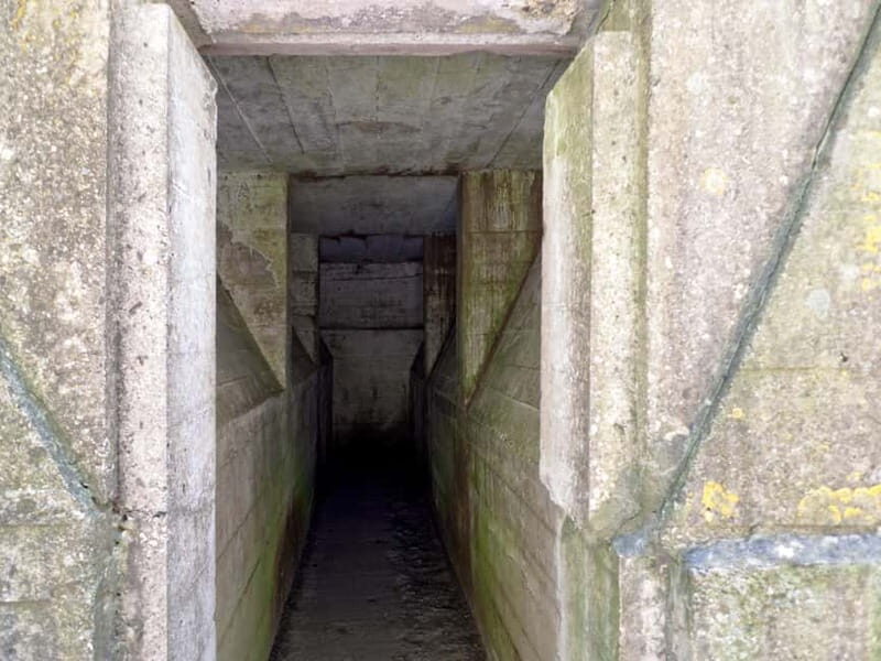 Brussels: Private World War I Tour: Trenches & Battlefields - Exploring the Past: A Detailed Look at the Brussels Private WWI Tour